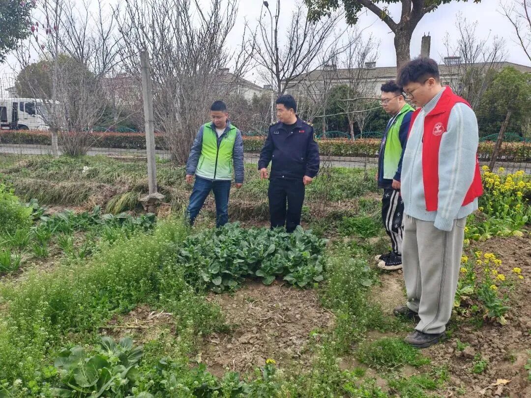 张家港 “空中鹰眼”出击，禁种铲毒无死角